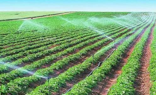 骚货叫大声一点农田高 效节水灌溉